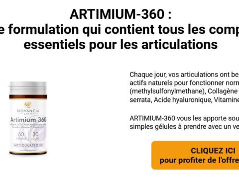 Artimium 360 2