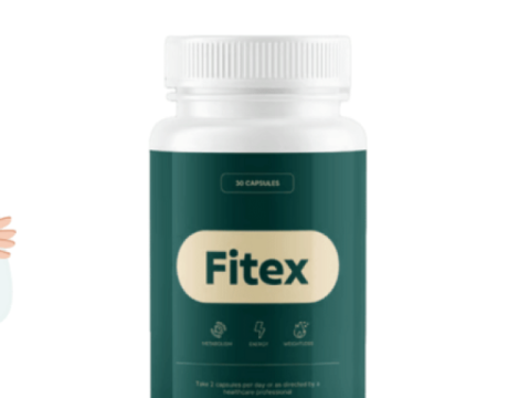 cropped-Fitex6.png