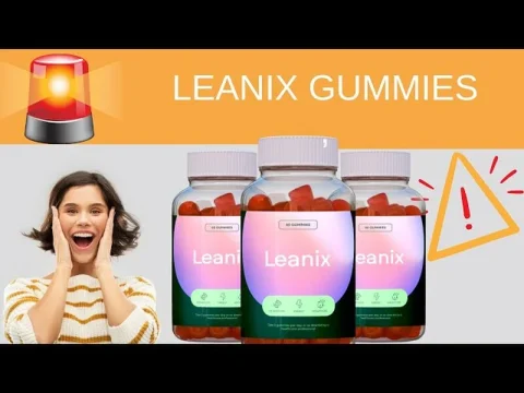 Leanix