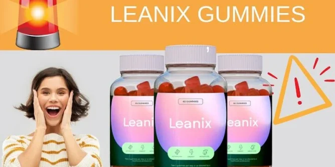 Leanix